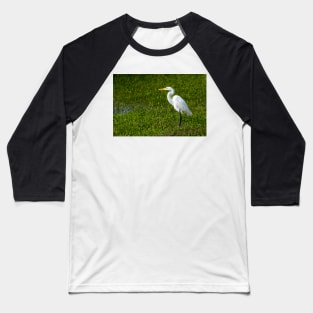 Great Egret As Still As A Statue Baseball T-Shirt